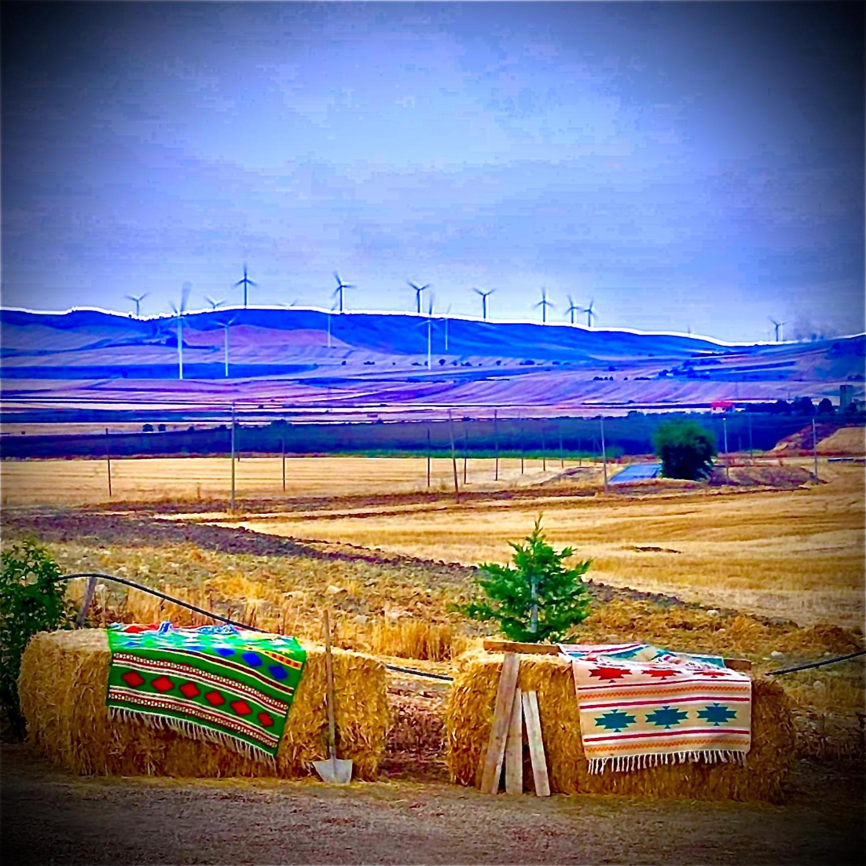 Antica Masseria Il Casone Candela Luaran gambar